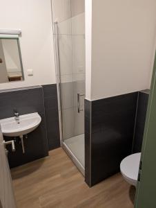 un bagno con doccia, lavandino e WC di Hotel Shiva a Maingründel