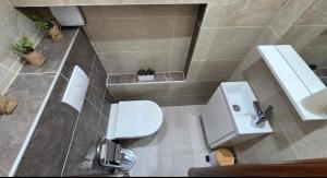 a bathroom with a toilet and a sink and a mirror at Kuća za odmor Vista in Slavonski Brod +17 photos