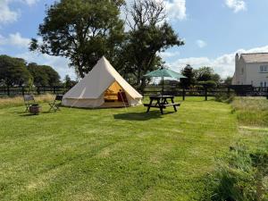 a tent and a picnic table in a field at The Beehive in Narberth