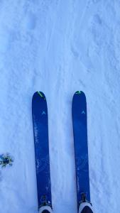 een paar ski's staan in de sneeuw bij Trekker's Home L'infinito & SPA in Pessinetto +55 foto's