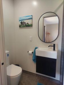 a bathroom with a white toilet and a mirror at Mapua Hills Hideaway in Upper Moutere