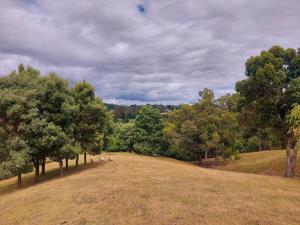 a large open field with trees on a hill at Mapua Hills Hideaway in Upper Moutere +5 photos