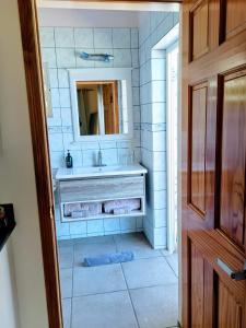 een badkamer met een wastafel en een spiegel bij Turtle Cove House by Le Haus in Matthews