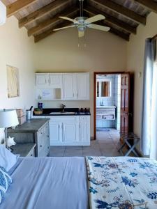 een keuken met witte kasten en een plafondventilator bij Turtle Cove House by Le Haus in Matthews