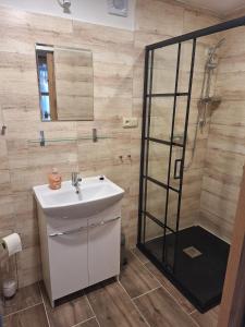 a bathroom with a sink and a shower at Bungalov Rozarka in Růžová +6 photos