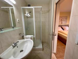 een badkamer met een wastafel en een douche bij Boutique HOTEL am KRANICHSEE in Hahnenklee-Bockswiese +39 foto's