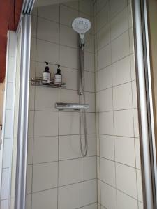 eine Dusche mit Duschkopf in einem Badezimmer in der Unterkunft Altstadt Appartement Luka in Roding + 7 Fotos