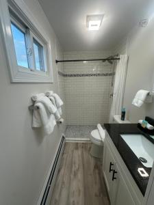 een badkamer met een douche, een toilet en een wastafel bij Aqua Amour Studio in Old Orchard Beach