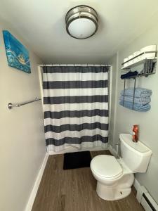 een badkamer met toilet en douchegordijn bij Oakland Beach Cottage - Sleeps up to 4 in Warwick