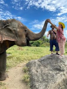 een vrouw met haar slurf bovenop een olifant bij DoiLom Farmstay in Ban Muang Kut