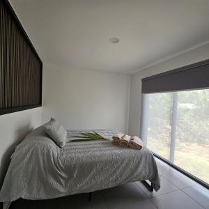 En eller flere senge i et værelse på Cabañas Teave + 36 billeder