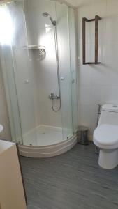 een badkamer met douche en toilet bij Cabaña en Frutillar in Frutillar