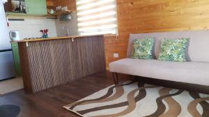 een woonkamer met een bank en een keuken bij Cabaña en Frutillar in Frutillar +9 foto's
