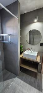 een badkamer met een wastafel en een spiegel bij Departamentos Hilario Lagos in Viedma