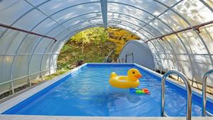 Swimmingpoolen hos eller tæt på Gapyeong Belita pension