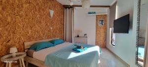 a bedroom with a bed with blue pillows and a television at Bungalow Zananas charme et Authenticité chez l'habitant in Saint-Paul