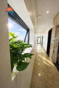 a plant in a room with a large window at Sunrise Hotel Thiên Cầm in Ha Tinh