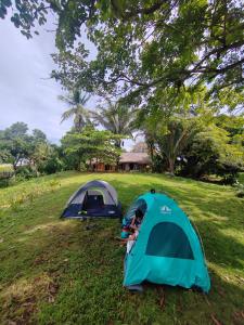 Zahrada ubytování AmparitoCamp