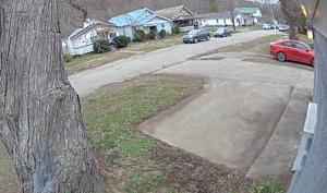 a view of a residential street with a tree at Cosy single-level home with laundry and parking in Huntington