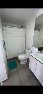 a bathroom with a toilet and a sink and a shower at II Cerca de la playa y del centro in La Serena