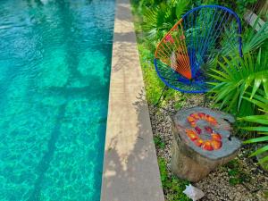 a pool of water with a bench next to a pool of water at Hotel Jaiba Mahahual - Adults Only in Mahahual +136 photos