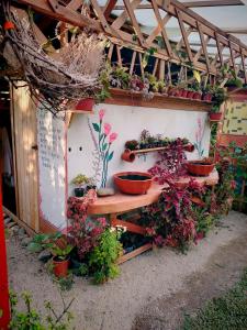 a wooden table with potted plants on it at Tipi Miramelinda in Baños