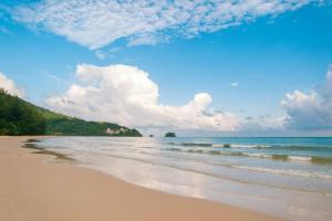 Naturlandskabet i nærheden af lejligheden