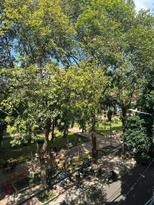 an overhead view of a park with trees and bicycles at 44 đặng dung in Buon Ma Thuot