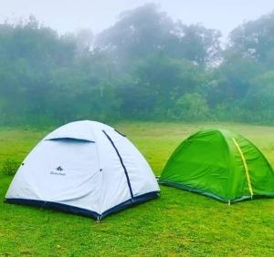 a green and white tent in a field at Malnad cloud homestay Agumbe in Someshwar