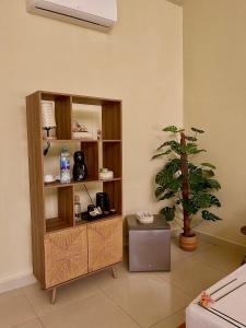 una libreria in una stanza con una pianta in vaso di Zanzi Soul Luxury Boutique Hotel a Jambiani