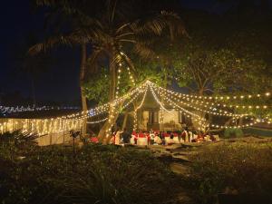 阿勒皮Casa Luma Beach Homestay的夜晚一串灯在房子上