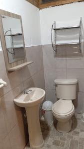 a bathroom with a toilet and a sink and a mirror at Black Marlin - Restaurant and Lodge in Talara