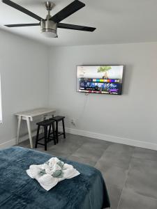 TV/trung tâm giải trí tại LYZ Miami Airport