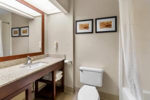 Et badeværelse på Comfort Suites Goodlettsville Rivergate + 51 billeder