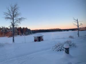 a snow covered yard with a building and a tree at Saagala Village in Tornio +54 photos