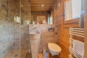a bathroom with a toilet and a glass shower at Alpine Luxury Chalet Pool & Jacuzzi in Cordon