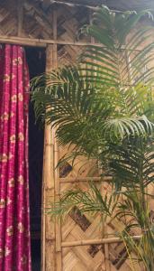 Billede fra billedgalleriet på Sherpa Homestay i Siliguri