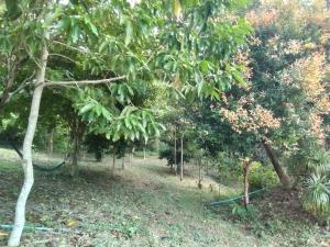 En have udenfor Lanta Vacation House