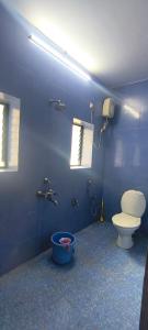 a blue bathroom with a toilet and a sink at Morni Home's morjim in Morjim