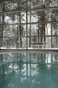 een kamer met een raam en een zwembad met water bij UPA Medical SPA in Druskininkai