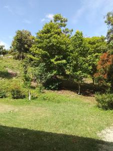 Naturlandskabet i nærheden af pensionatet + 24 billeder