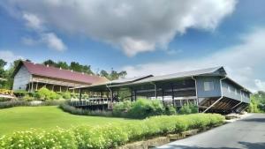 Zahrada ubytování Borneo Hotel