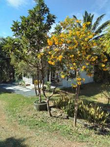 En have udenfor Lanta Vacation House