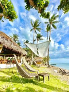 two hammocks on a beach with palm trees and the ocean at Elysia Beach Resort in Donsol