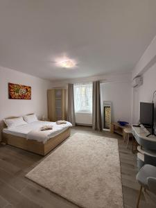 una camera da letto con un letto e una televisione di Parlament Residence a Bucarest