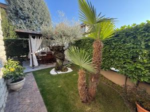 a garden with two palm trees in a yard at Villa Fenix Seriate in Seriate