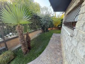 a palm tree in a yard next to a wall at Villa Fenix Seriate in Seriate