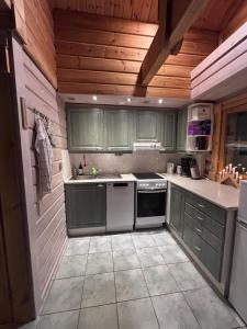 a kitchen with green cabinets and white appliances at Latvahonka Cottage in Jämsä