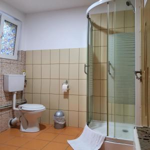 un bagno con wc e doccia in vetro di Conacul de la Dunăre, Eșelnița a Eşelniţa