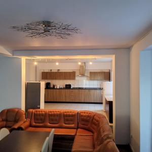 un soggiorno con divano e cucina di Conacul de la Dunăre, Eșelnița a Eşelniţa